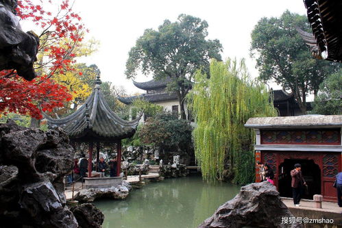 狮子林风光 苏州园林的奇石禅意