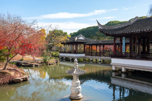 苏州虎丘山秘境 被时光遗忘的幽静古典园林