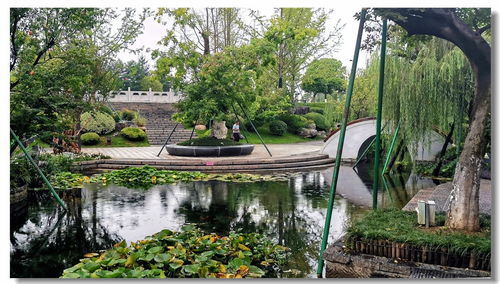 园林小景 方寸之间的自然诗画