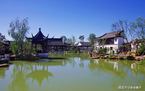 超浪漫 盘点深圳23个约会圣地,在这里每天都是情人节