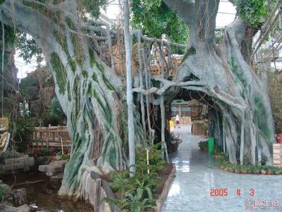 宜宾假树大门 艺术与自然的完美融合